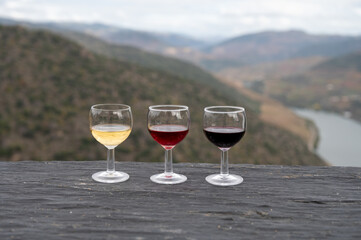 Tasting of Portuguese fortified port wine, produced in Douro Valley with Douro river and colorful terraced vineyards on background in autumn, Portugal