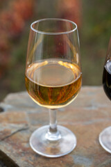 Tasting of Portuguese fortified port wine, produced in Douro Valley with colorful terraced vineyards on background in autumn, Portugal