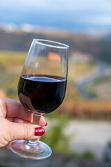 Tasting of Portuguese fortified port wine, produced in Douro Valley with colorful terraced vineyards on background in autumn, Portugal