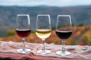 Tasting of Portuguese fortified port wine, produced in Douro Valley with colorful terraced vineyards on background in autumn, Portugal
