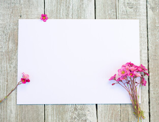 Obraz premium Wildflowers. Spring Flowers with blank paper for greeting message on wooden background. Vintage Floral mock up with Saxifraga Pink flowers. Copy space