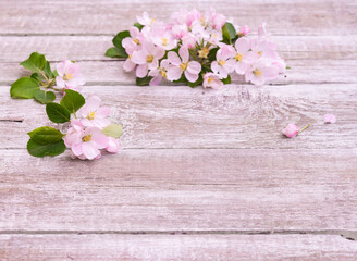 Naklejka na ściany i meble Flowers. Apple tree blossoms on rustic wooden background with copy space for greeting message. Vintage floral background with purple tone retro filter effect