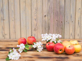 Obraz na płótnie Canvas Fruits and flowers. Apples and apple tree blossoms on rustic wooden table