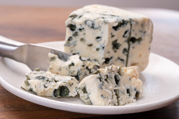 Cheese collection, piece of soft French blue cheese roquefort