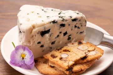 Cheese collection, piece of soft French blue cheese roquefort