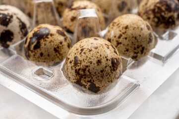 Fresh small spotted partridge eggs in tranparent plastic container