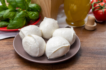 Cheese collection, small fresh white soft mozzarella cheese balls served with red tomatoes and fresh green basil from Italy