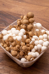 Shimeji edible mushrooms native to East Asia, buna-shimeji is widely cultivated and rich in umami tasting compounds