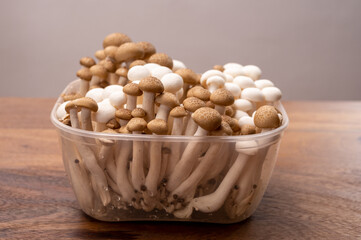Shimeji edible mushrooms native to East Asia, buna-shimeji is widely cultivated and rich in umami tasting compounds