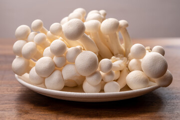 Shimeji edible mushrooms native to East Asia, buna-shimeji is widely cultivated and rich in umami tasting compounds