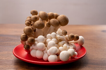 Shimeji edible mushrooms native to East Asia, buna-shimeji is widely cultivated and rich in umami tasting compounds