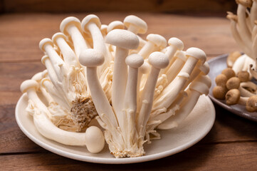 Shimeji edible mushrooms native to East Asia, buna-shimeji is widely cultivated and rich in umami tasting compounds