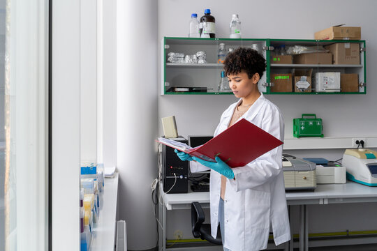 Woman Analysing Data From Folder
