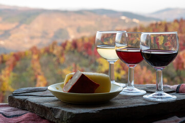 Taste of Portugal, fortified port wines and goat and sheep cheeses produced in Douro Valley with colorful terraced vineyards on background in autumn, Portugal - obrazy, fototapety, plakaty