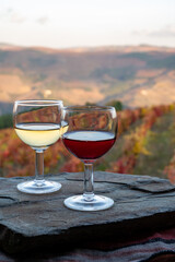 Tasting of Portuguese fortified port wines  produced in Douro Valley with colorful terraced vineyards on background in autumn, Portugal