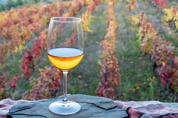Glass of Portuguese white dry wine, produced in Douro Valley and old terraced vineyards on background in autumn, wine region of Portugal - obrazy, fototapety, plakaty