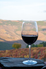 Glass of Portuguese red dry wine, produced in Douro Valley and old terraced vineyards on background in autumn, wine region of Portugal