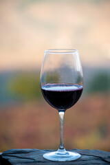 Glass of Portuguese red dry wine, produced in Douro Valley and old terraced vineyards on background in autumn, wine region of Portugal