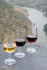 Tasting of Portuguese fortified port wine, produced in Douro Valley with Douro river and colorful terraced vineyards on background in autumn, Portugal