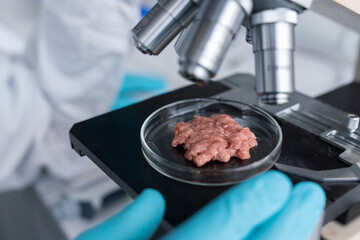 GMO Meat Sample Analysis