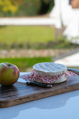 Cheese collection, French cheese from Normandy region, round camembert chees