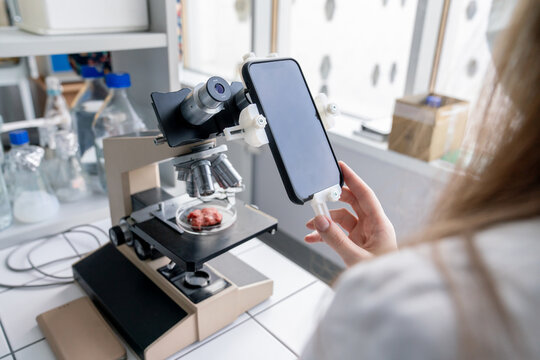Researcher Using Mobile Phone And Microscope