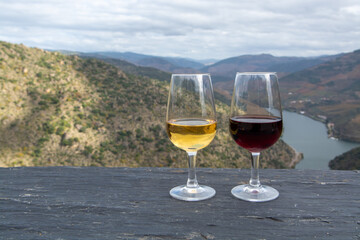 Glasses of Portuguese fortified port wine, produced in Douro Valley and Douro river with colorful terraced vineyards on background in autumn, Portugal