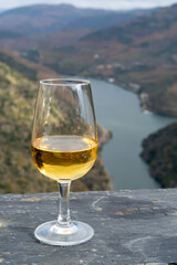 Glass of Portuguese fortified port wine, produced in Douro Valley and Douro river with colorful terraced vineyards on background in autumn, Portugal