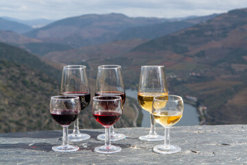 Tasting of Portuguese fortified port wine, produced in Douro Valley with Douro river and colorful terraced vineyards on background in autumn, Portugal