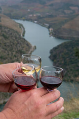 Tasting of Portuguese fortified port wine, produced in Douro Valley with Douro river and colorful terraced vineyards on background in autumn, Portugal