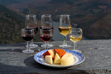 Taste of Portugal, variety of fortified port wines and goat and sheep cheeses, produced in Douro Valley with Douro river and colorful terraced vineyards on background in autumn, Portugal - obrazy, fototapety, plakaty