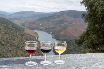Tasting of Portuguese fortified port wine, produced in Douro Valley with Douro river and colorful terraced vineyards on background in autumn, Portugal