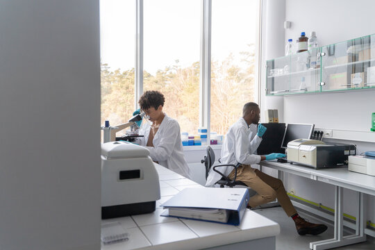 Two Researcher Working In Laboratory