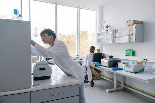 Microbiologists Working In Laboratory