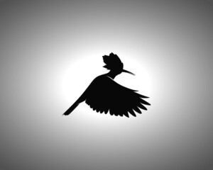 Hoopoe Silhouette. Isolated Vector Animal Template for Logo Company, Icon, Symbol etc © Abdul