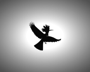 Hoopoe Silhouette. Isolated Vector Animal Template for Logo Company, Icon, Symbol etc