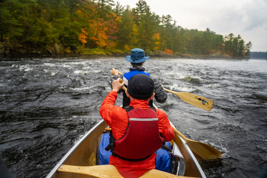 Canoes Paddling through River Rapids on Autumn Backcountry Canoe Trip