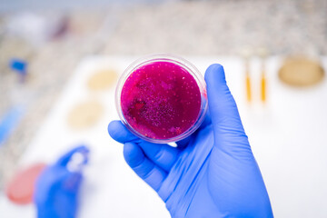 Science Research In A Lab