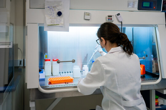 Science Research In A Lab