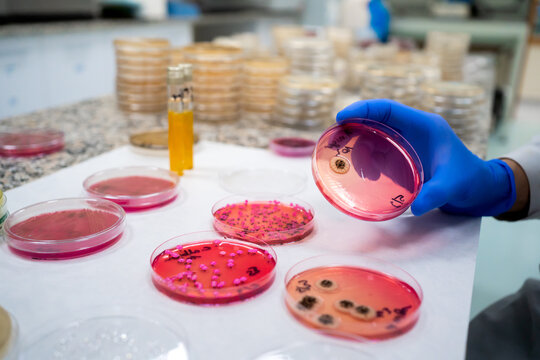 Science Research In A Lab