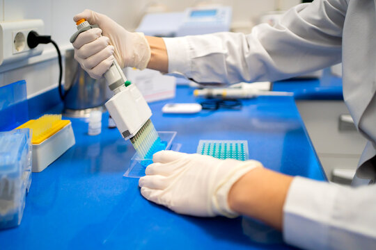 Science Research In A Lab