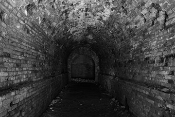 Obraz premium Abandoned Military Tarakaniv Fort (Dubno Fort, New Dubno Fortress) - a defensive structure of 19th century in Tarakaniv, Ukraine.