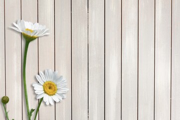 Obraz premium Flower.