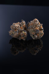 Cannabis Flower Macro - Strain: Cereal Milk