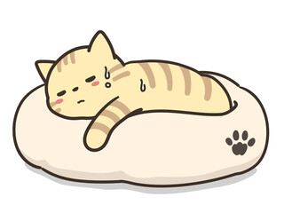 体調不良のトラ猫　ペットベッド