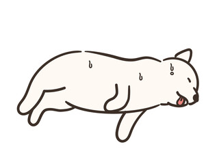 体調不良の白い犬