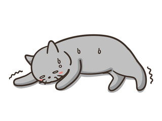 体調不良の猫　ロシアンブルー