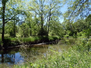 Fototapeta na wymiar Landscape of regular park with pond