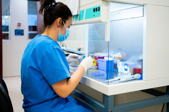 Science Research In A Laboratory.