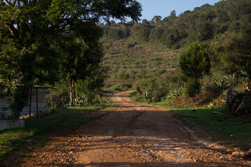 road